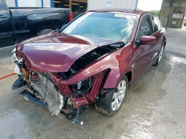 1HGCP26879A106374 - 2009 HONDA ACCORD EXL MAROON photo 2