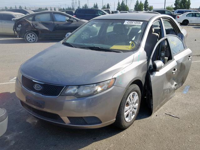 KNAFU4A21A5807795 - 2010 KIA FORTE EX CHARCOAL photo 2