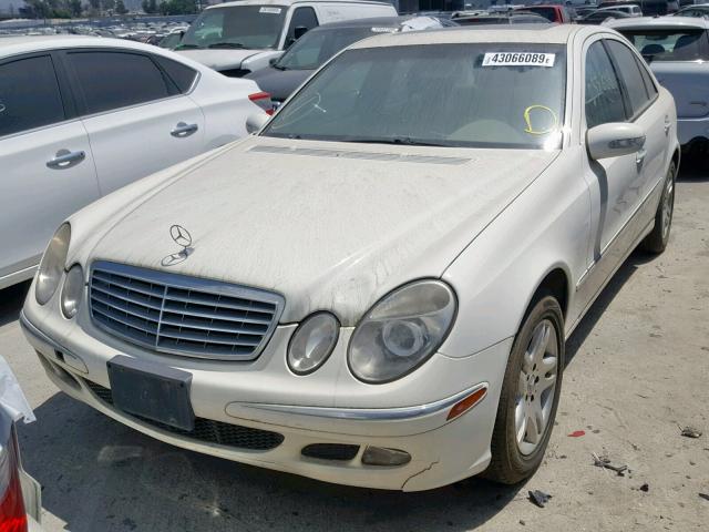 WDBUF65J34A551395 - 2004 MERCEDES-BENZ E 320 WHITE photo 2