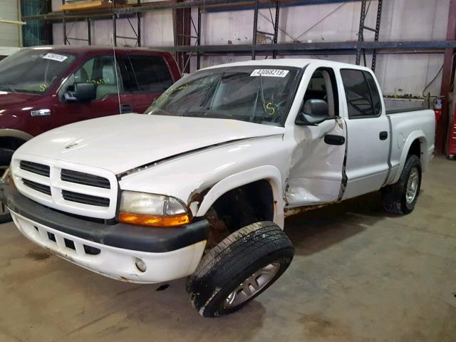 1B7HL38N52S506619 - 2002 DODGE DAKOTA QUA WHITE photo 2