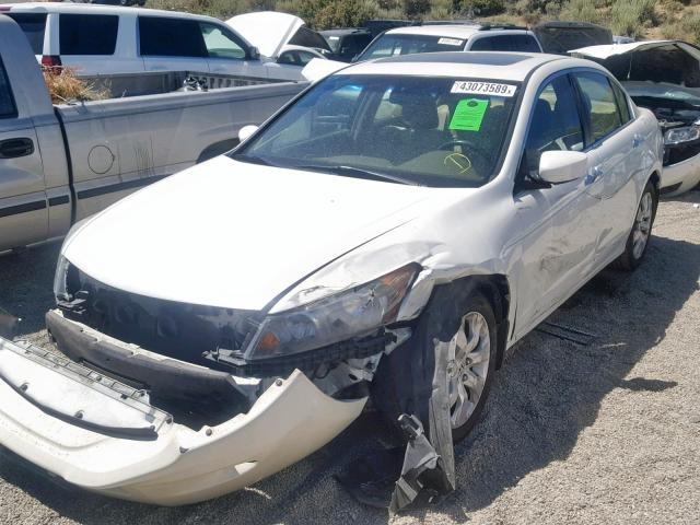 1HGCP36898A078078 - 2008 HONDA ACCORD EXL WHITE photo 2