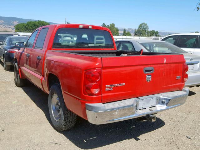 1D7HE48N76S533929 - 2006 DODGE DAKOTA QUA RED photo 3