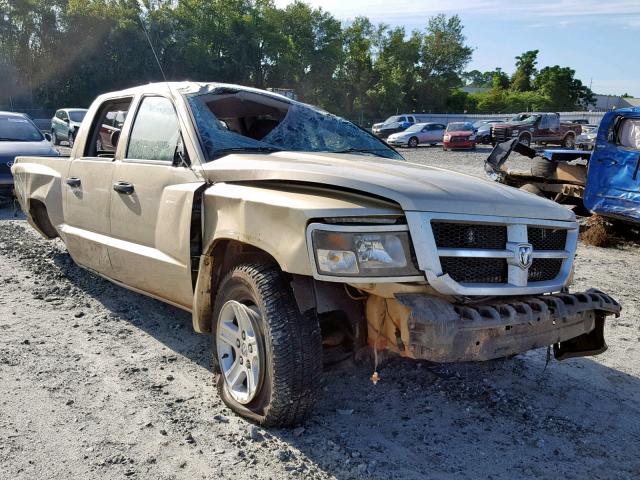 1D7RW3GK4BS559501 - 2011 DODGE DAKOTA SLT GOLD photo 1