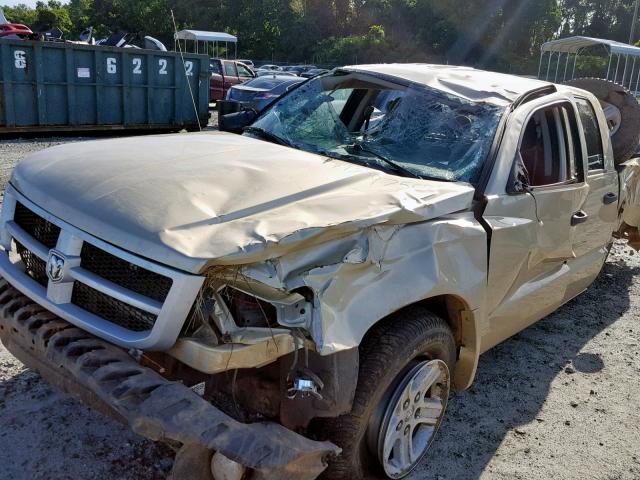 1D7RW3GK4BS559501 - 2011 DODGE DAKOTA SLT GOLD photo 10