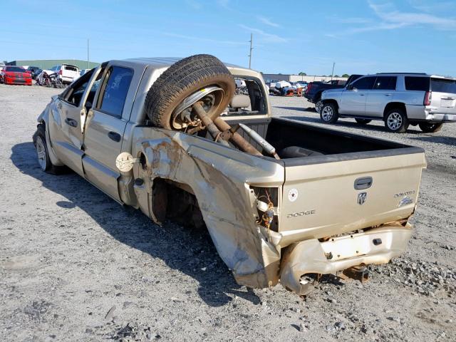 1D7RW3GK4BS559501 - 2011 DODGE DAKOTA SLT GOLD photo 3