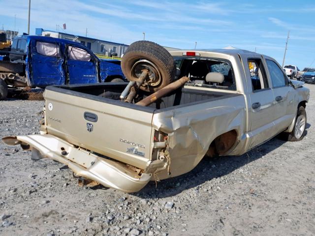 1D7RW3GK4BS559501 - 2011 DODGE DAKOTA SLT GOLD photo 4