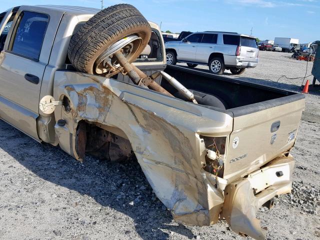 1D7RW3GK4BS559501 - 2011 DODGE DAKOTA SLT GOLD photo 9