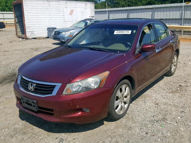 1HGCP368X8A018830 - 2008 HONDA ACCORD EXL BURGUNDY photo 2