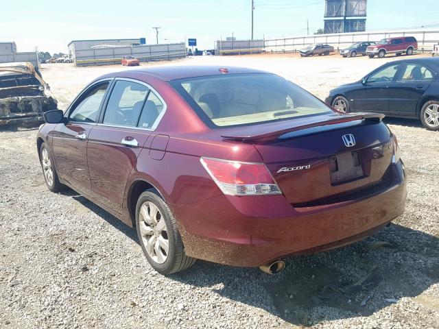 1HGCP368X8A018830 - 2008 HONDA ACCORD EXL BURGUNDY photo 3