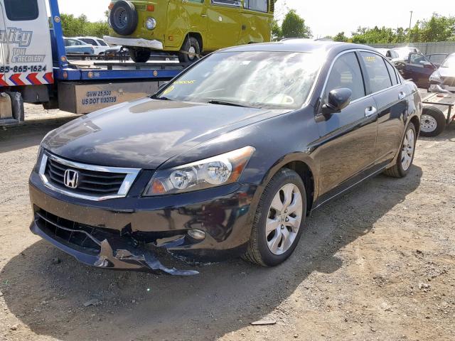 1HGCP36888A065015 - 2008 HONDA ACCORD EXL BLACK photo 2