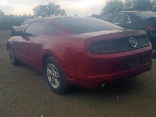 1ZVBP8AM5E5287198 - 2014 FORD MUSTANG RED photo 3