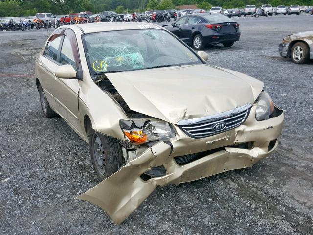 KNAFE222395665428 - 2009 KIA SPECTRA EX GOLD photo 1