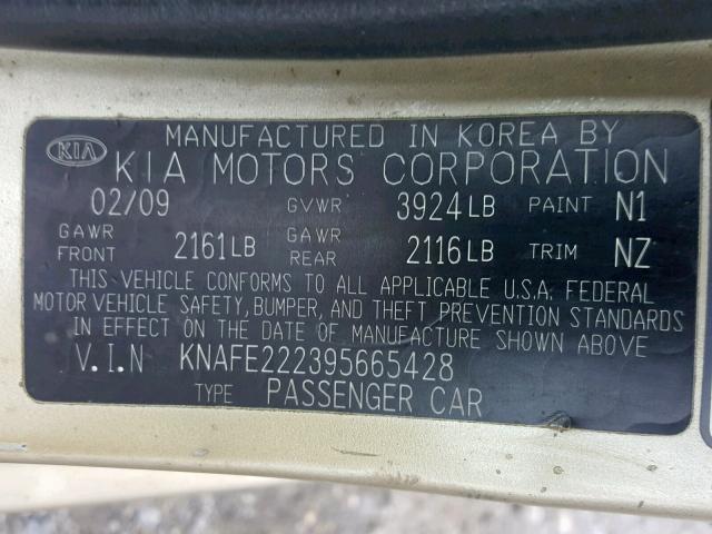 KNAFE222395665428 - 2009 KIA SPECTRA EX GOLD photo 10