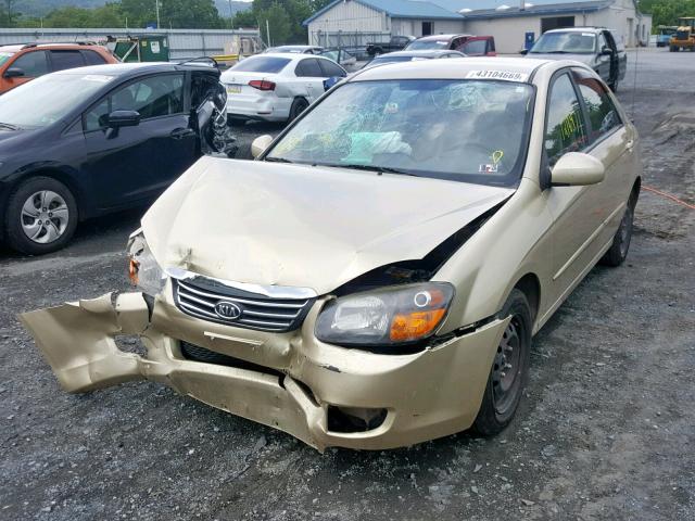 KNAFE222395665428 - 2009 KIA SPECTRA EX GOLD photo 2