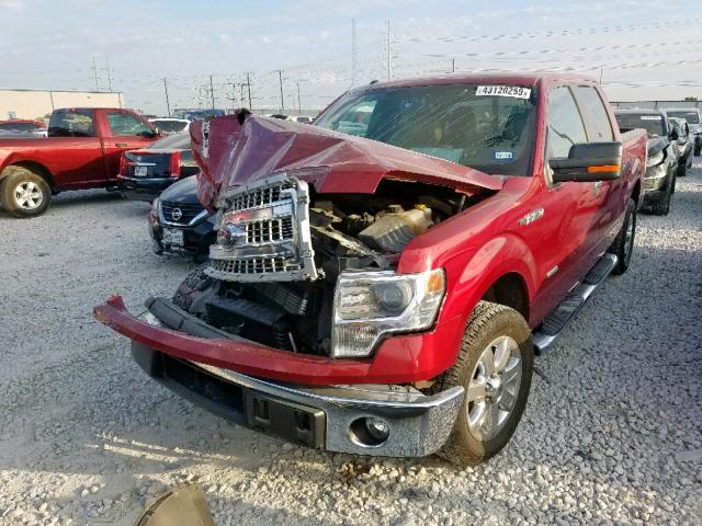 1FTFW1CTXEKF90224 - 2014 FORD F150 SUPER RED photo 2