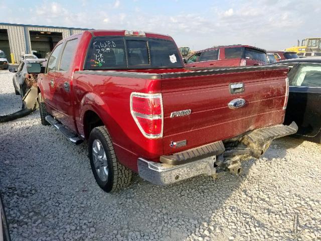 1FTFW1CTXEKF90224 - 2014 FORD F150 SUPER RED photo 3