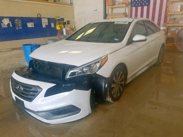 5NPE34AF2GH367213 - 2016 HYUNDAI SONATA SPO WHITE photo 2