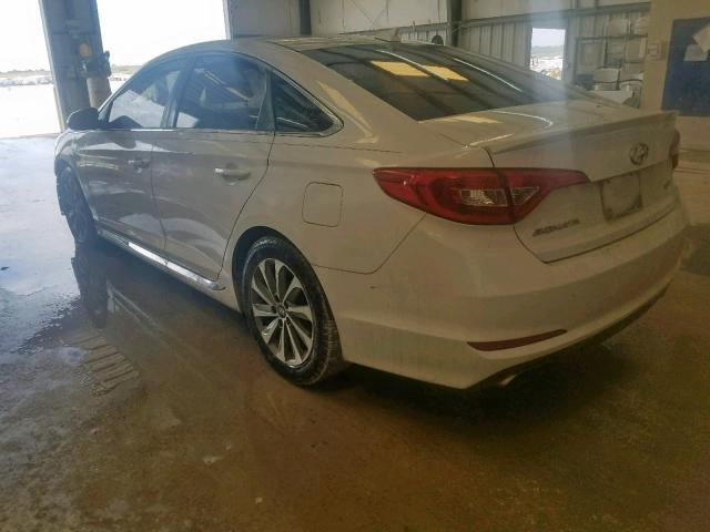 5NPE34AF2GH367213 - 2016 HYUNDAI SONATA SPO WHITE photo 3