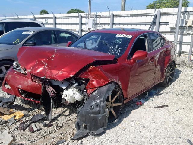 JTHBE262962002484 - 2006 LEXUS IS 350 RED photo 2