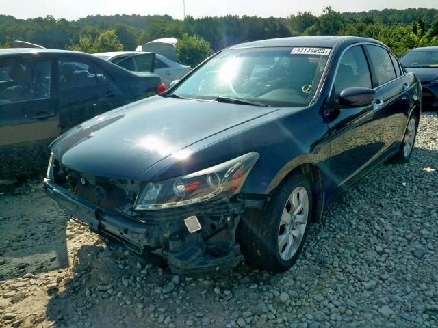 1HGCP36878A052661 - 2008 HONDA ACCORD EXL BLUE photo 2