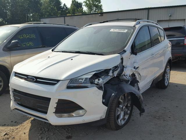 1FMCU9J91DUC24312 - 2013 FORD ESCAPE TIT WHITE photo 2