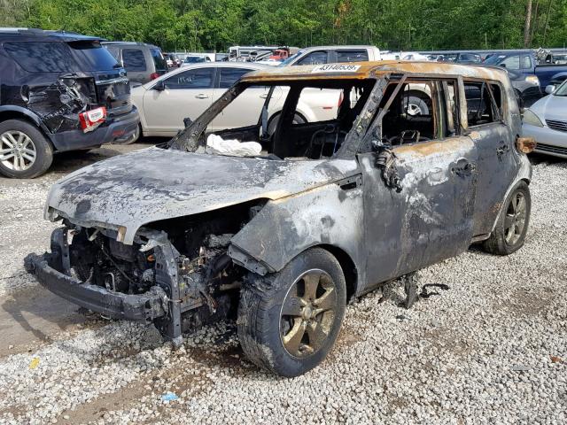 KNDJN2A26H7882392 - 2017 KIA SOUL BURN photo 2