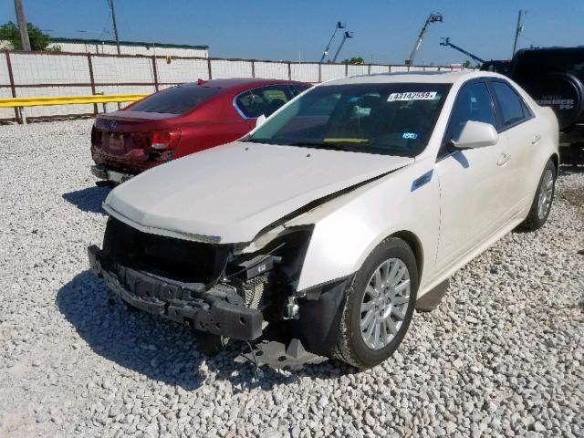 1G6DE5EG6A0135557 - 2010 CADILLAC CTS LUXURY WHITE photo 2