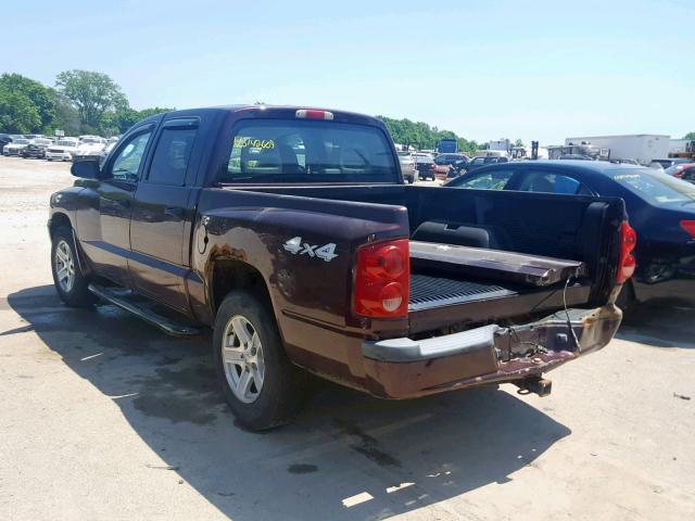 1D7HW28K85S342591 - 2005 DODGE DAKOTA QUA BURGUNDY photo 3