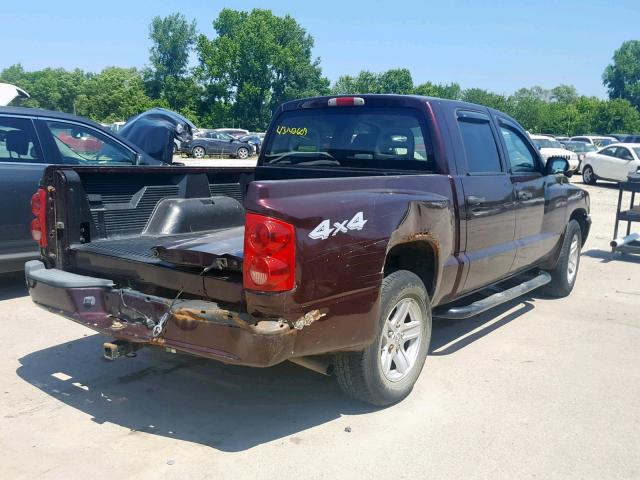 1D7HW28K85S342591 - 2005 DODGE DAKOTA QUA BURGUNDY photo 4