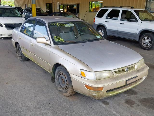 1NXBB02E7TZ495740 - 1996 TOYOTA COROLLA DX GOLD photo 1