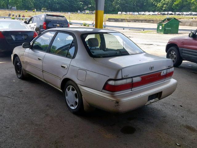 1NXBB02E7TZ495740 - 1996 TOYOTA COROLLA DX GOLD photo 3