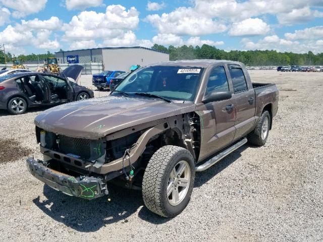 1D7CW3GP5AS104219 - 2010 DODGE DAKOTA SXT BROWN photo 2