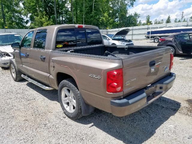 1D7CW3GP5AS104219 - 2010 DODGE DAKOTA SXT BROWN photo 3