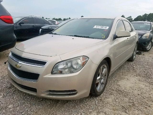 1G1ZC5EB2AF112361 - 2010 CHEVROLET MALIBU 1LT GOLD photo 2