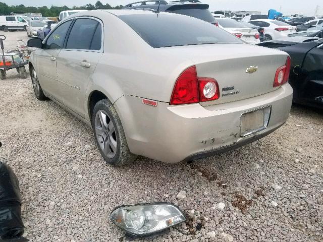 1G1ZC5EB2AF112361 - 2010 CHEVROLET MALIBU 1LT GOLD photo 3