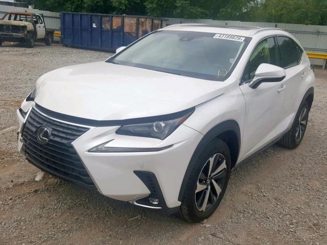 JTJYARBZ5J2101411 - 2018 LEXUS NX 300 WHITE photo 2