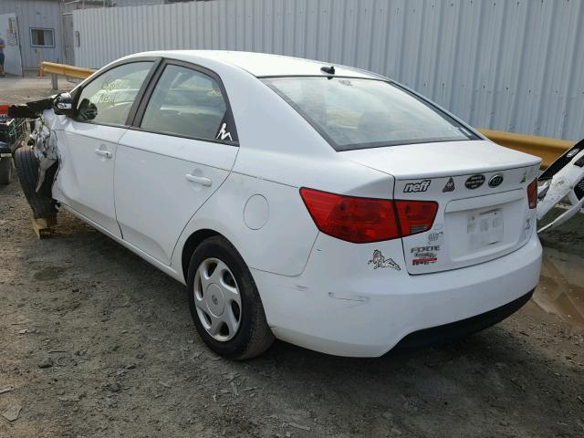 KNAFU4A21A5843275 - 2010 KIA FORTE EX WHITE photo 3