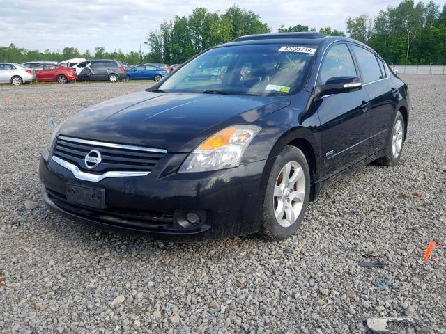 1N4CL21E68C198299 - 2008 NISSAN ALTIMA HYB BLACK photo 2