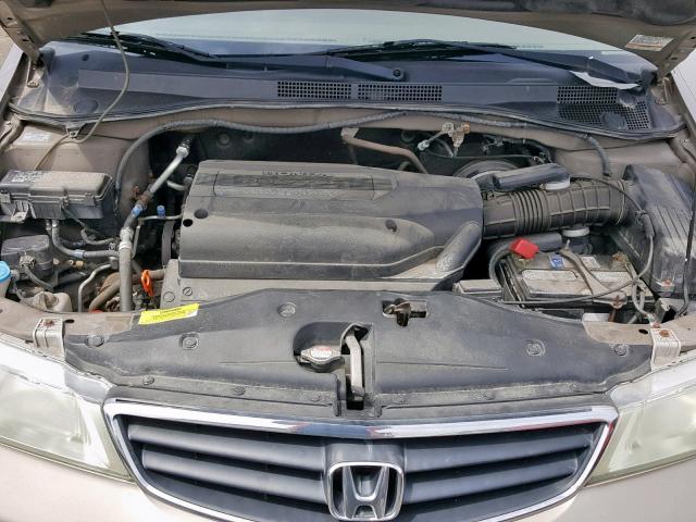 5FNRL18524B083488 - 2004 HONDA ODYSSEY LX GOLD photo 7