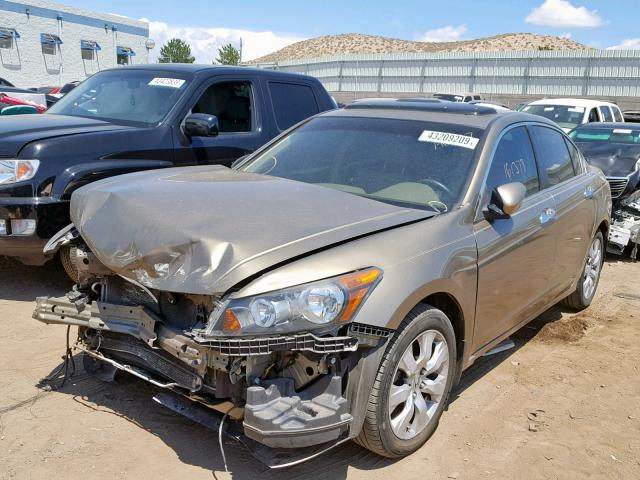 1HGCP36838A019754 - 2008 HONDA ACCORD EXL GOLD photo 2