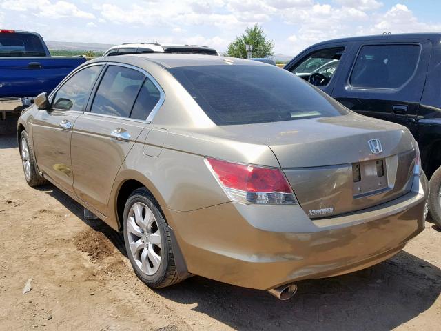 1HGCP36838A019754 - 2008 HONDA ACCORD EXL GOLD photo 3