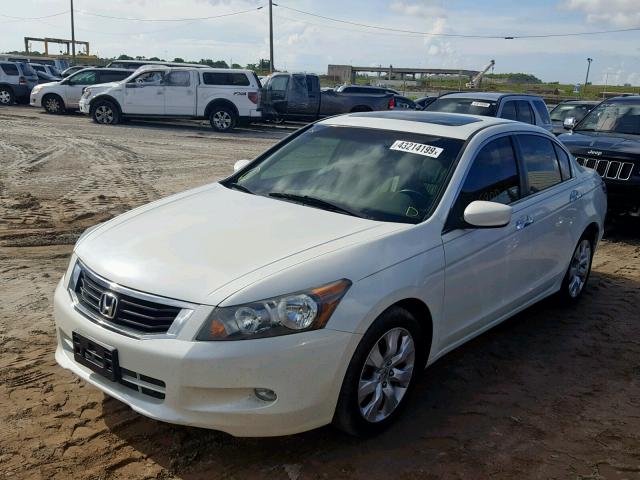 1HGCP36809A009362 - 2009 HONDA ACCORD EXL WHITE photo 2