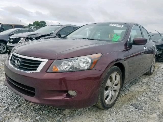 5KBCP3F84AB009280 - 2010 HONDA ACCORD EXL MAROON photo 2