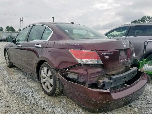 5KBCP3F84AB009280 - 2010 HONDA ACCORD EXL MAROON photo 3