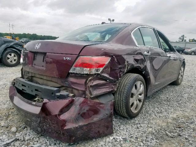 5KBCP3F84AB009280 - 2010 HONDA ACCORD EXL MAROON photo 4