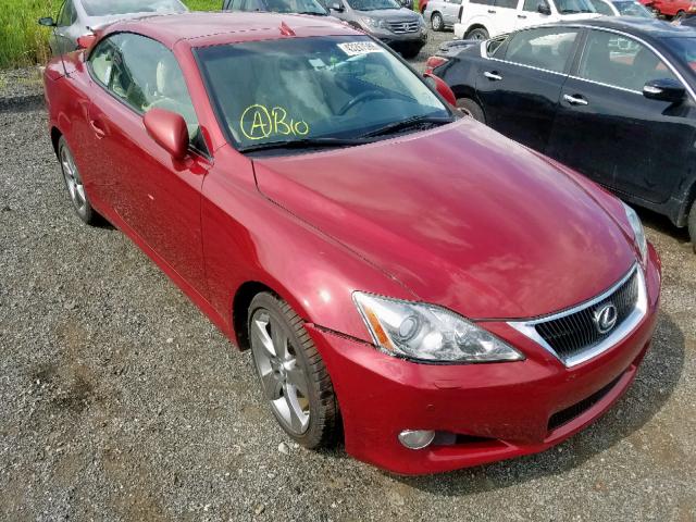 JTHFF2C23A2508341 - 2010 LEXUS IS 250 RED photo 1