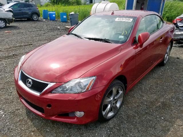 JTHFF2C23A2508341 - 2010 LEXUS IS 250 RED photo 2