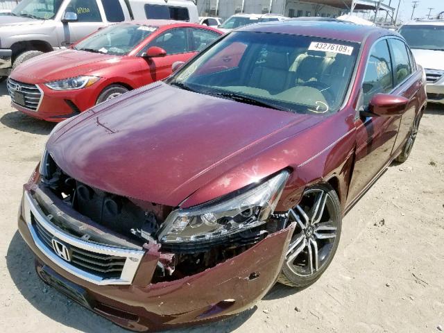 1HGCP26819A136258 - 2009 HONDA ACCORD EXL RED photo 2