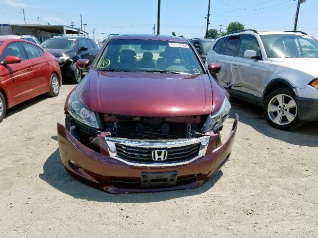 1HGCP26819A136258 - 2009 HONDA ACCORD EXL RED photo 9