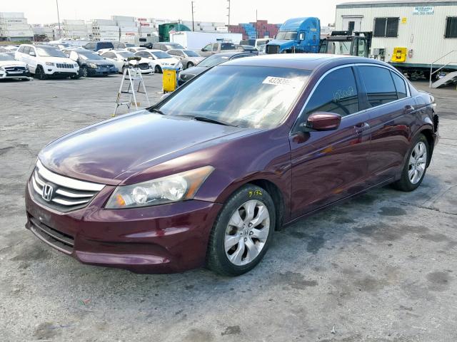 JHMCP26848C067453 - 2008 HONDA ACCORD EXL MAROON photo 2